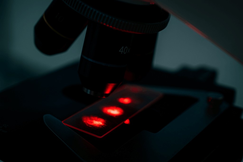 Microscopio contraste de fase Balea